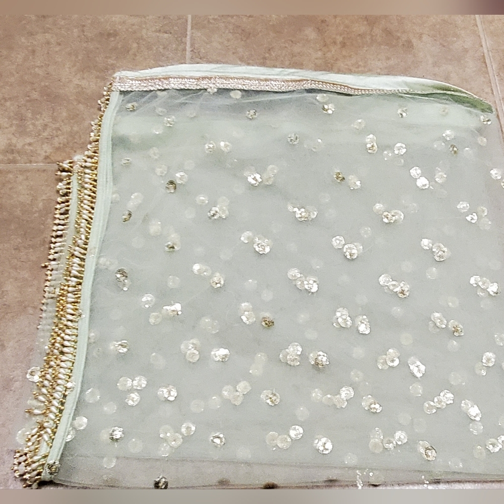 Indian pakistani lahangacholi chaniyacholi crocktop anarkali - Picture 3 of 6